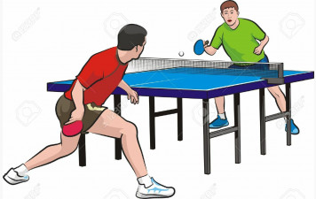 Stage de fin d'année